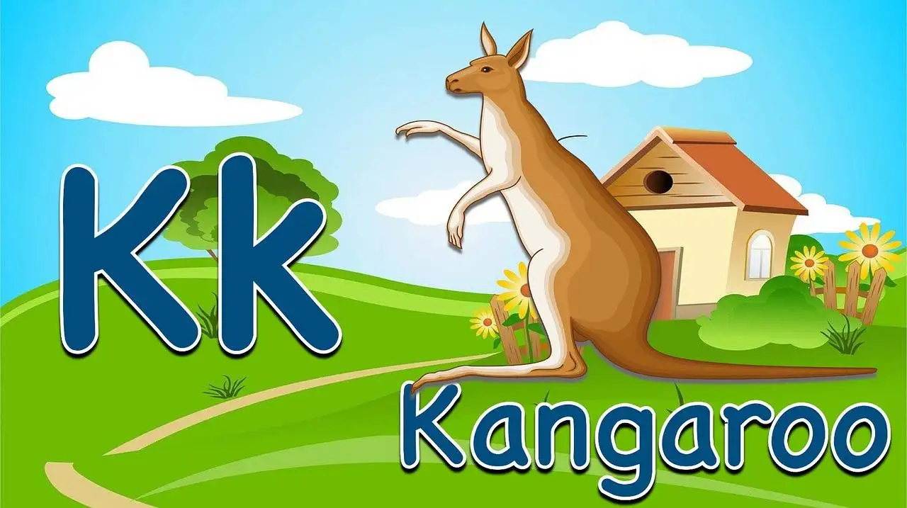 Exploring Education Trends in Latin America