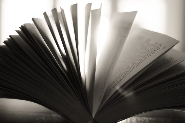 Education and Social Justice: Promoting Equity