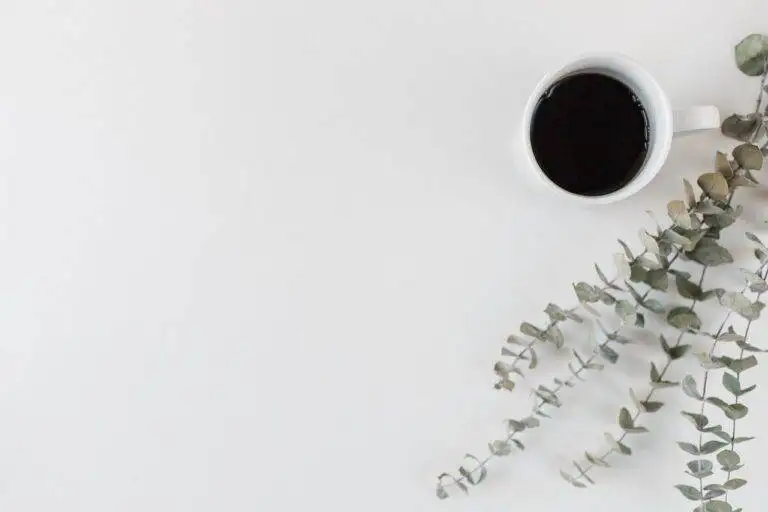 Business-to-Business Marketing Strategies