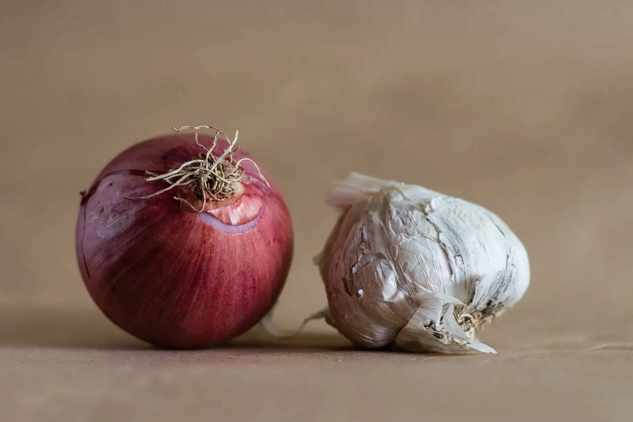 The Relationship Between Health and Gratitude Practices